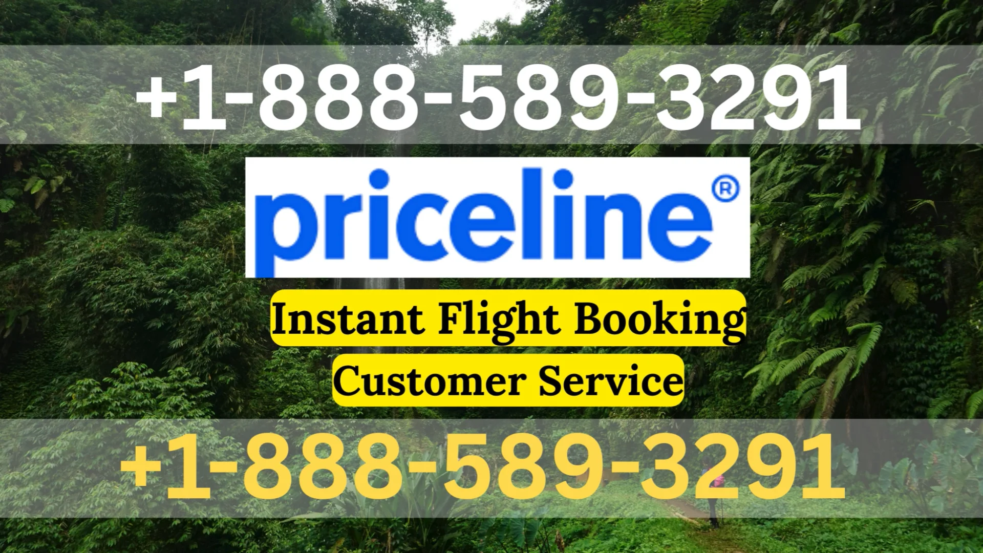 Priceline&reg;&reg; Customer Service Complete Guide ⟶ Step-by-Step Help & Support 24/7 Priceline