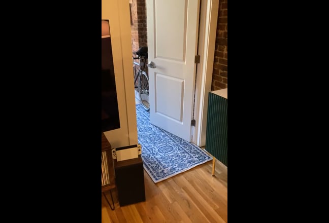 Large Clinton Hill bedroom available in 2BR apt Main Photo