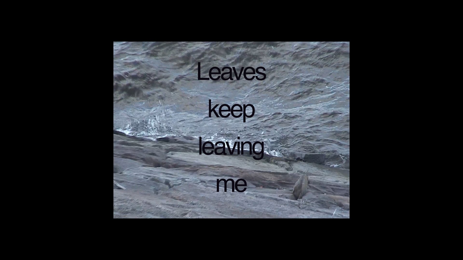 Leaves keep leaving me