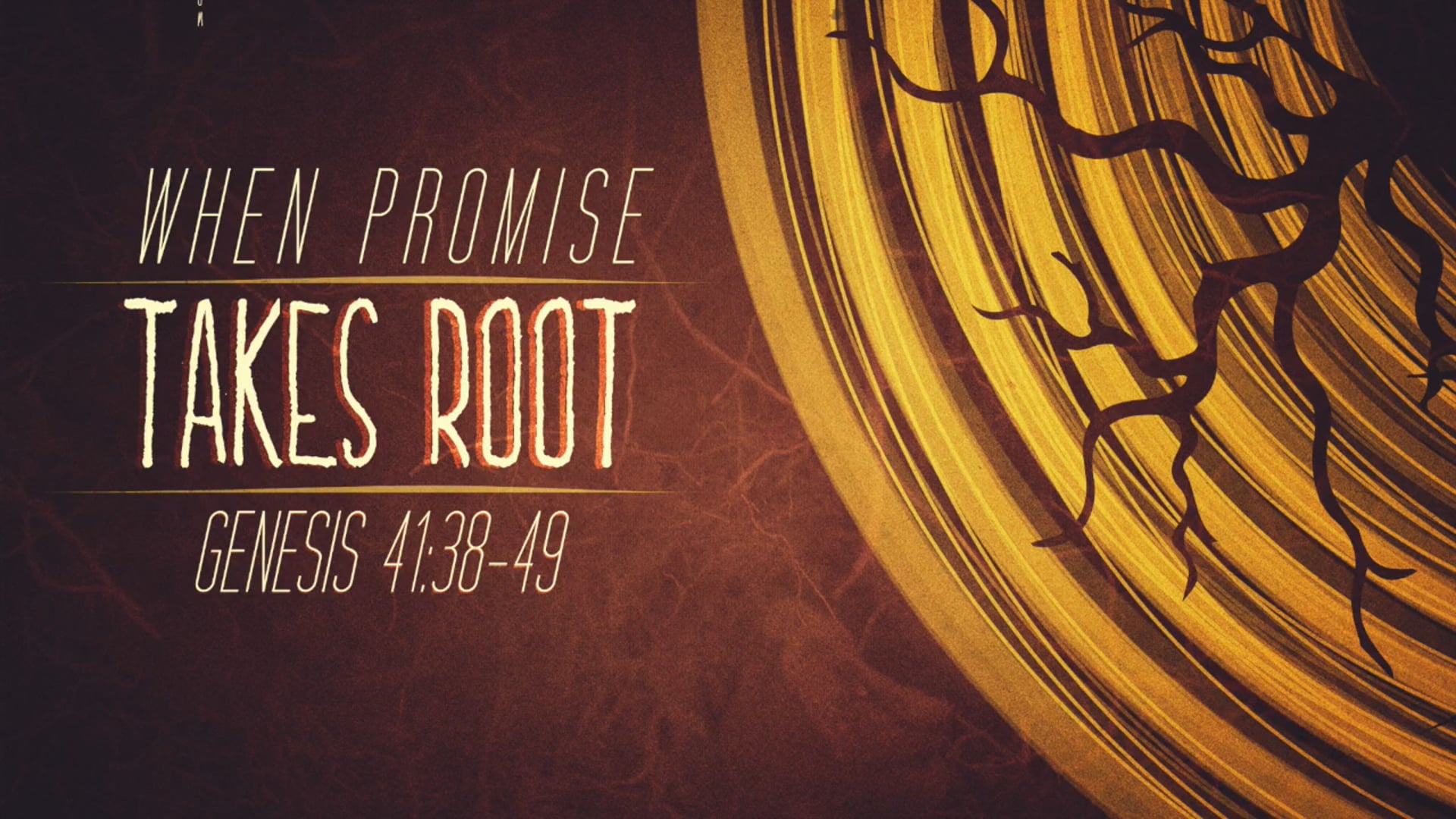 Genesis 41:38-49 - When Promise Takes Root
