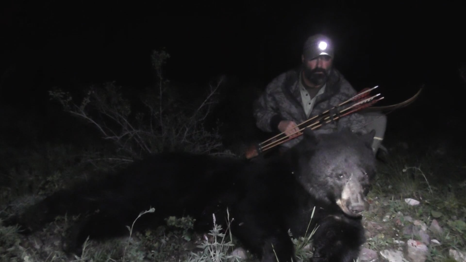 Recent Episodes - Longbow Black Bear Hunting in Idaho with Corey Daily ...