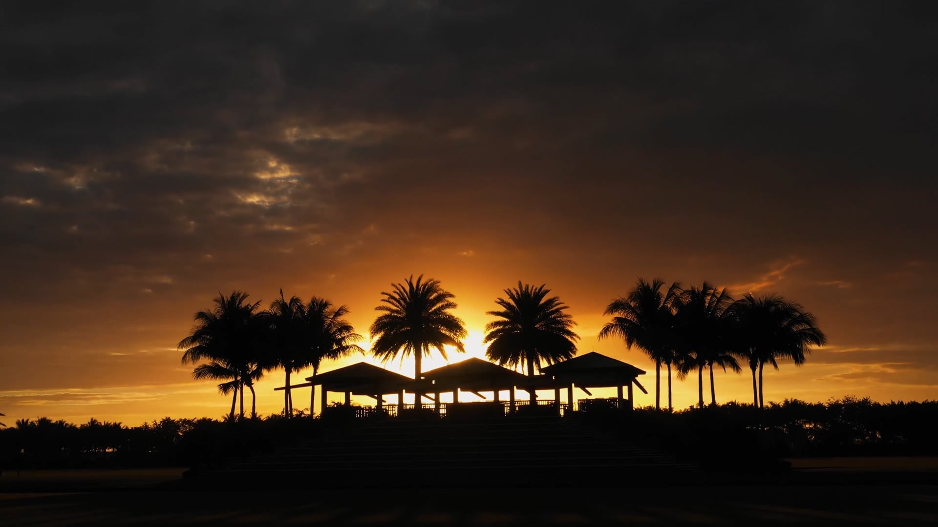 Building The Best Polo Farm In The World