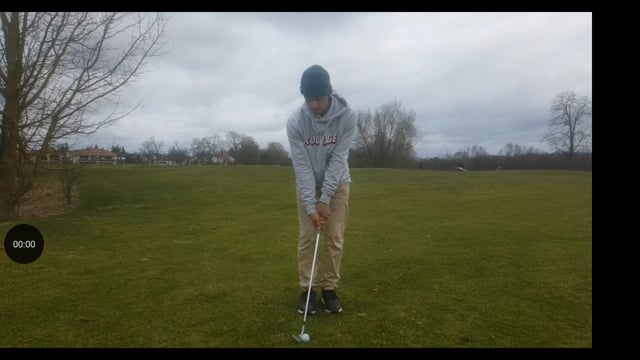 Play swing video