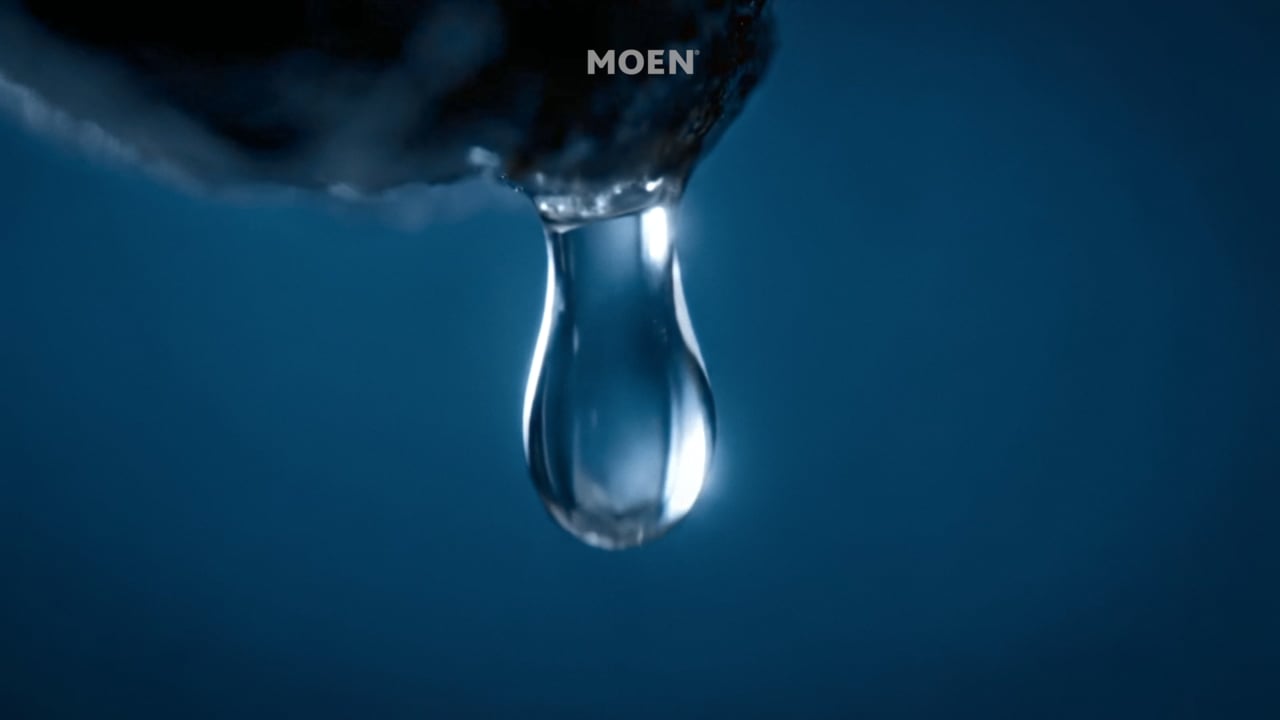 Moen | Flo