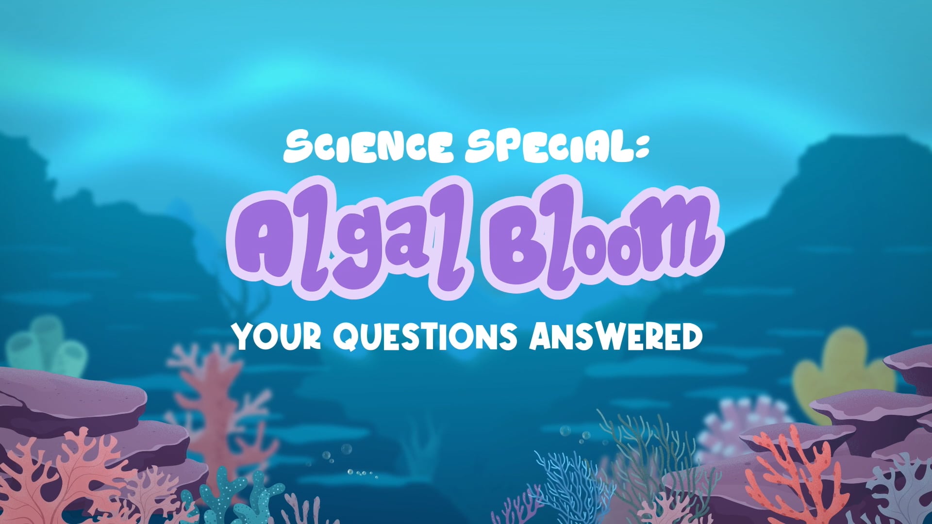 POP - Algal Bloom Experts Q&A - MASTER