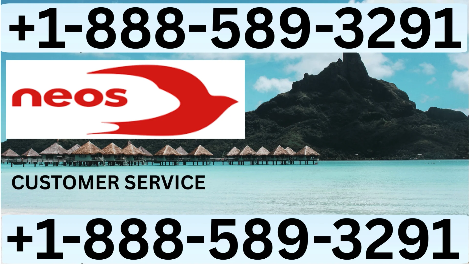 Neos Airlines&reg; Customer Service Complete Guide Step-by-Step Help & Support 247 Neos Airlines