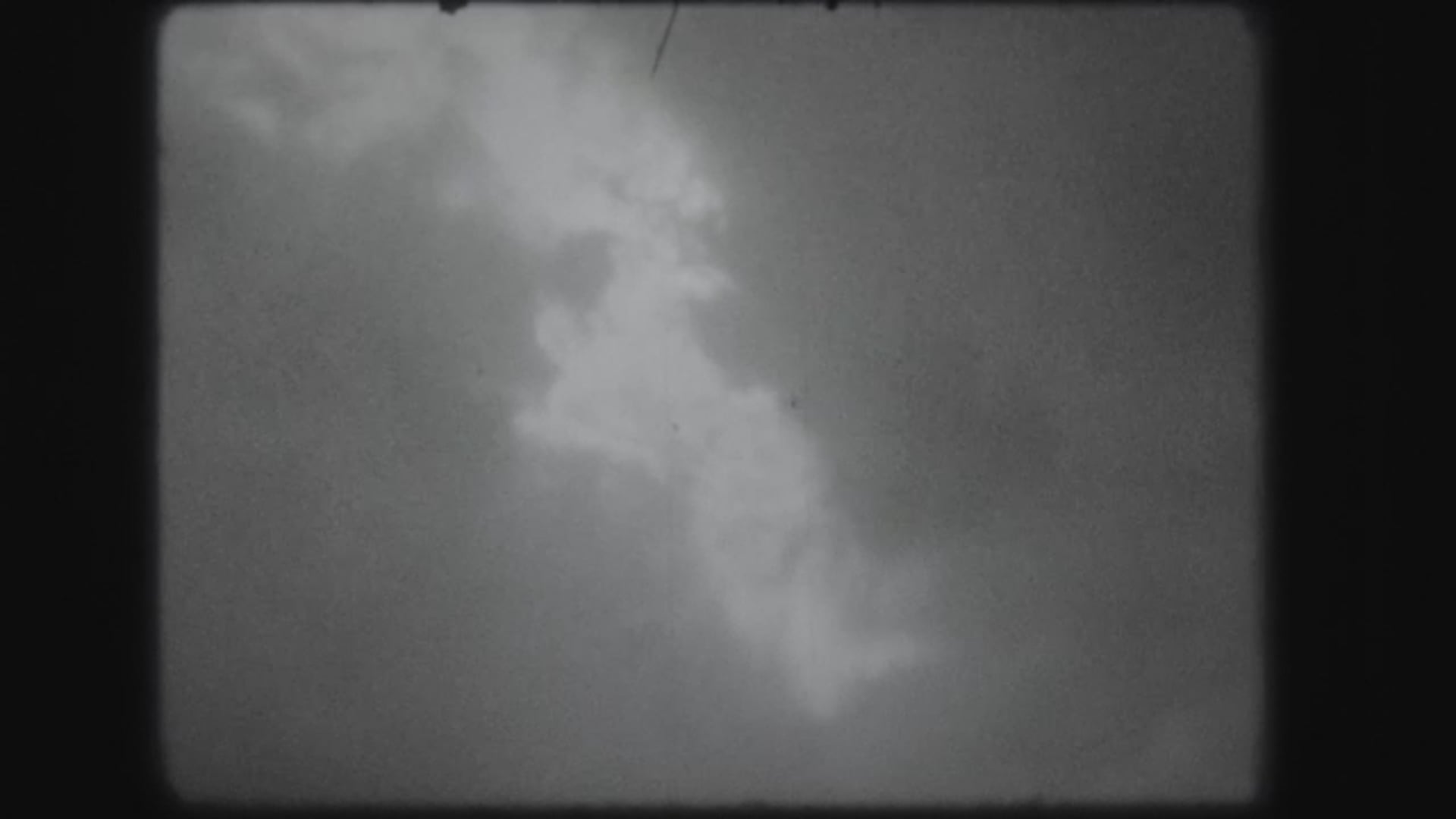 cara foresta super8mm