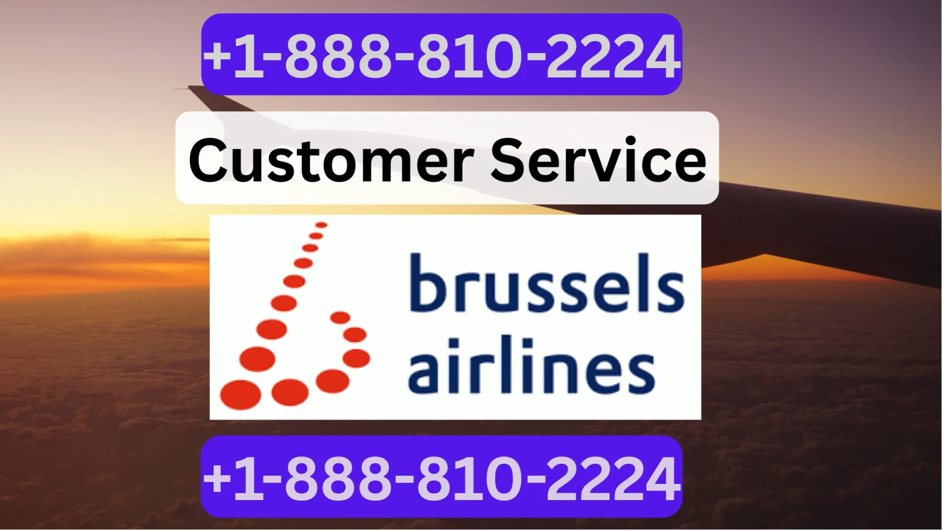 Brussels Airlines&reg; Customer Service Updated Path ⇝⇝ Step-by-Step Help & Support 24/7 Brussels Airlines