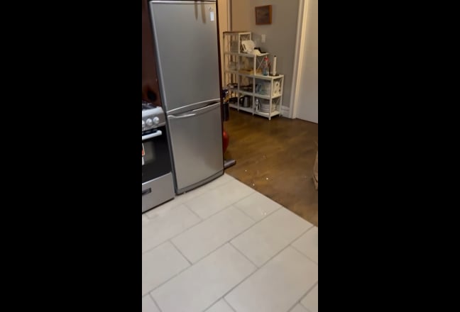 Sunny room for rent in a female apartment  Main Photo