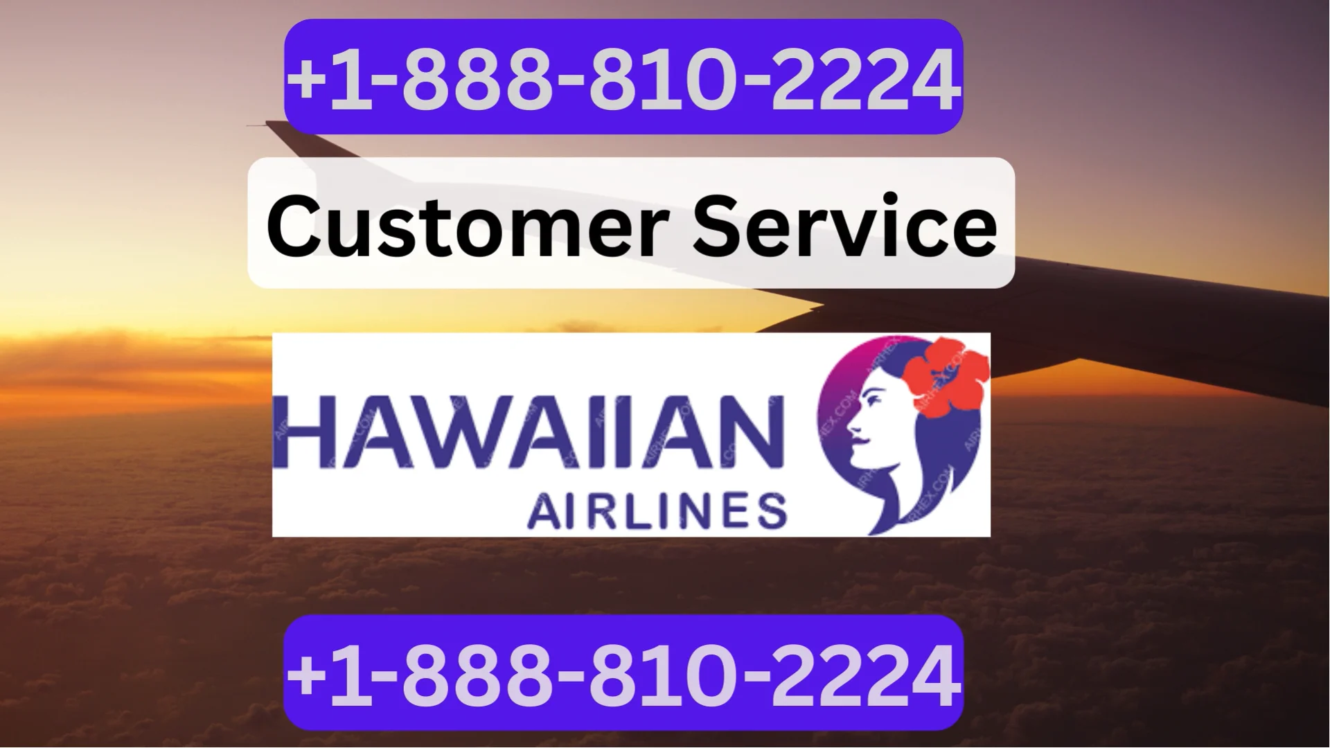 Hawaiin Airlines&reg; Customer Service Updated Path ⇝⇝ Step-by-Step Help & Support 24/7 Hawaiin Airlines