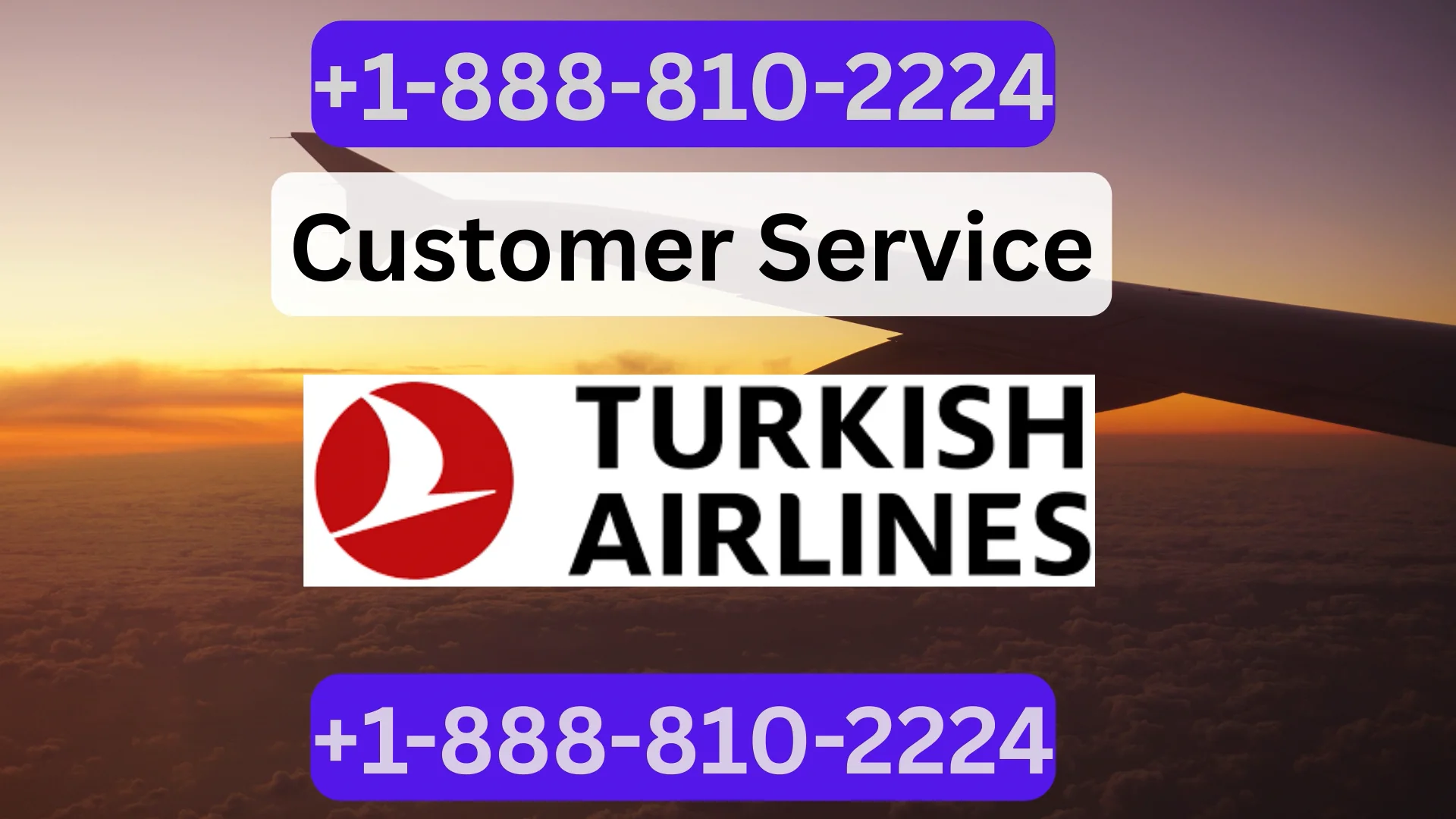 [Official] Turkish Airlines Customer service Made Simple: Phone, Chat, Email & More Explained