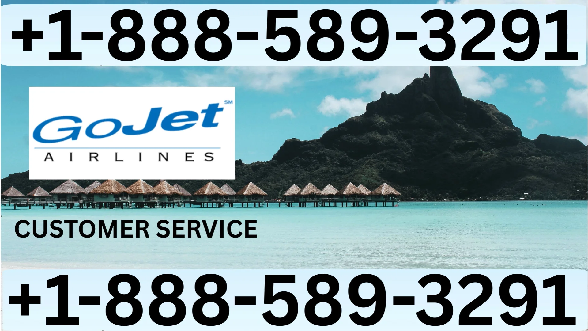 Updated Gojet Airlines Customer Service | Detailed Guide to 24/7 Chat, Call & Email Support