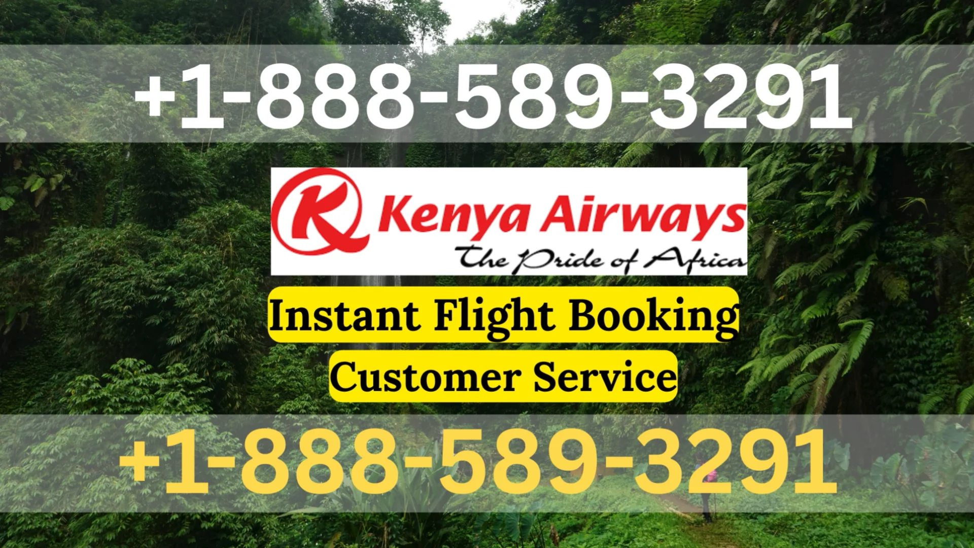 Kenya Airways&reg; Customer Service Complete Guide = Step-by-Step Help & Support 24/7 Kenya Airways
