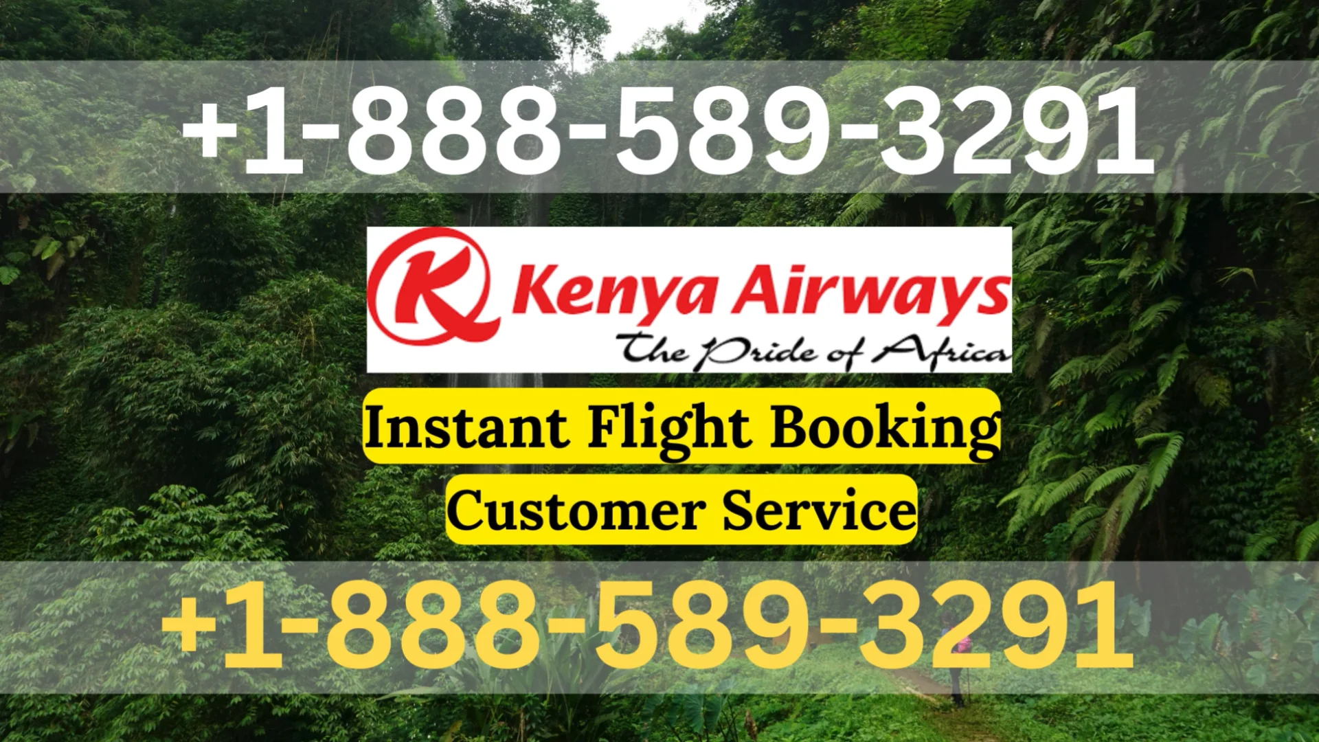 Kenya Airways&trade;&reg; Official Customer Services | 24/7 Live Help & Help Guide