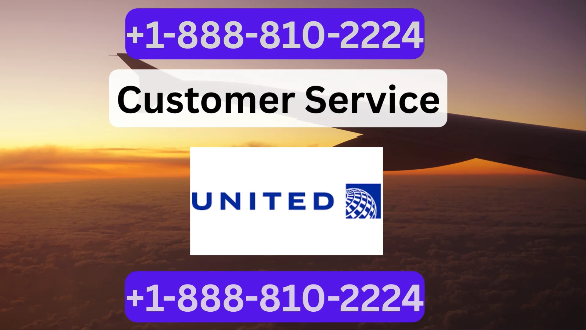 [Official] United Airlines Customer service Made Simple: Phone, Chat, Email & More Explained