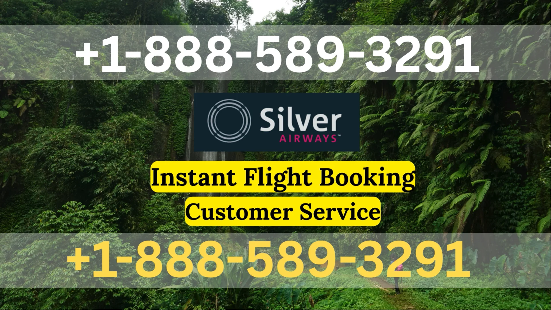 Silver Airways&trade; Customer Service Complete Guide || Step-by-Step Help & Support 24/7 Silver Airways