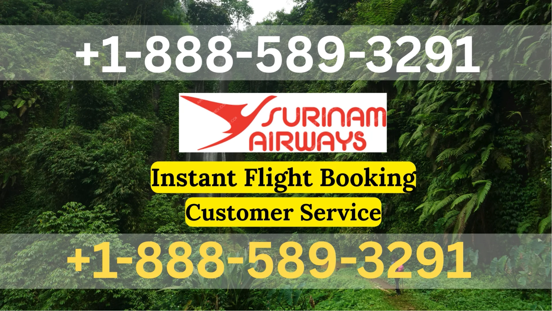 Surinam Airways&reg;&reg;Customer Service Official Guide || Step-by-Step Help & Support Surinam Airways