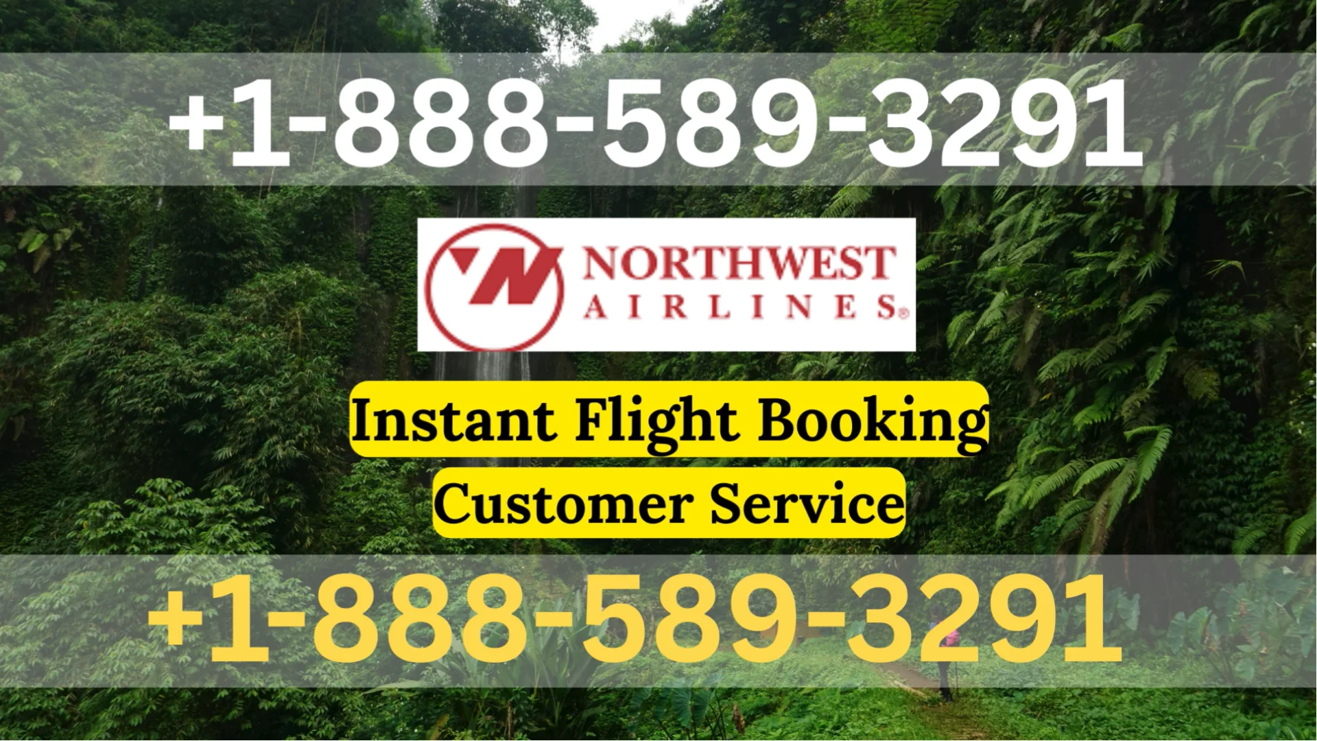 Northwest Airlines&trade; Customer Service Official Guide || Step-by-Step Help & Support Northwest Airlines
