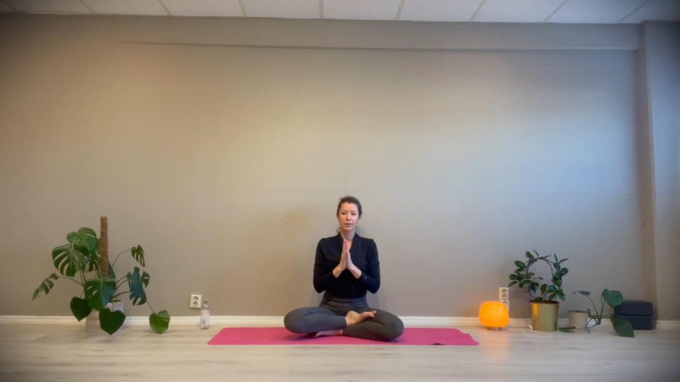 Ut av Vinterhi - Ny styrkeserie 30 min: Video 1 av 4