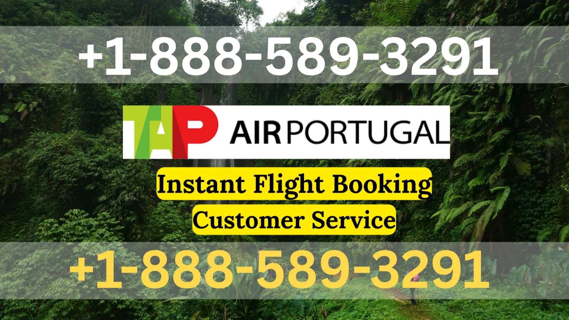 Tap Air Portugal&reg;&reg;Customer Service Official Guide || Step-by-Step Help & Support Tap Air Portugal