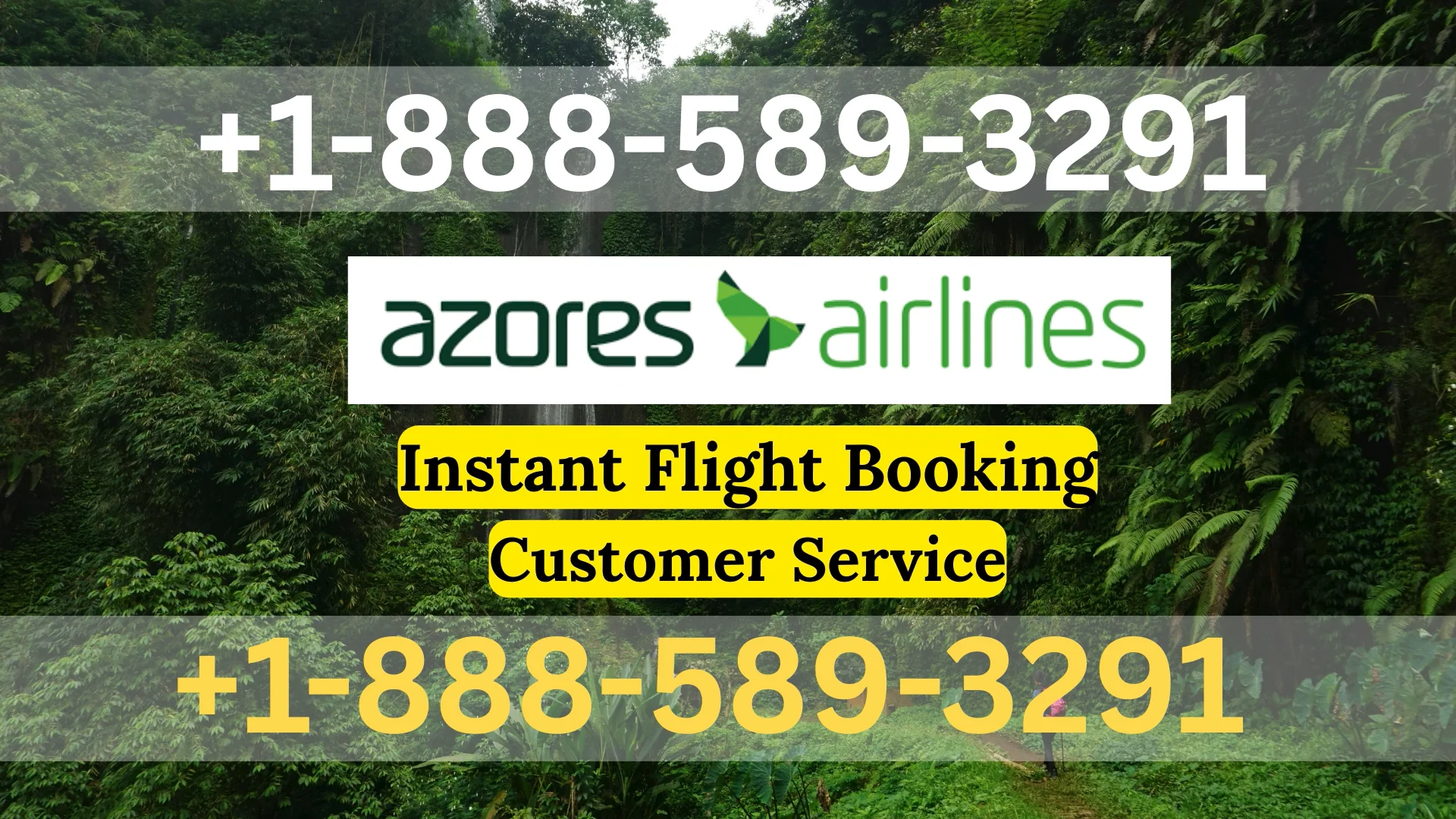 Azores Airlines&reg; Customer Service Complete Guide ➢ Step-by-Step Help & Support 24/7 Azores Airlines