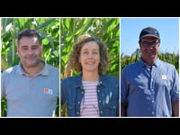 Ensaios en campo para escoller mellor