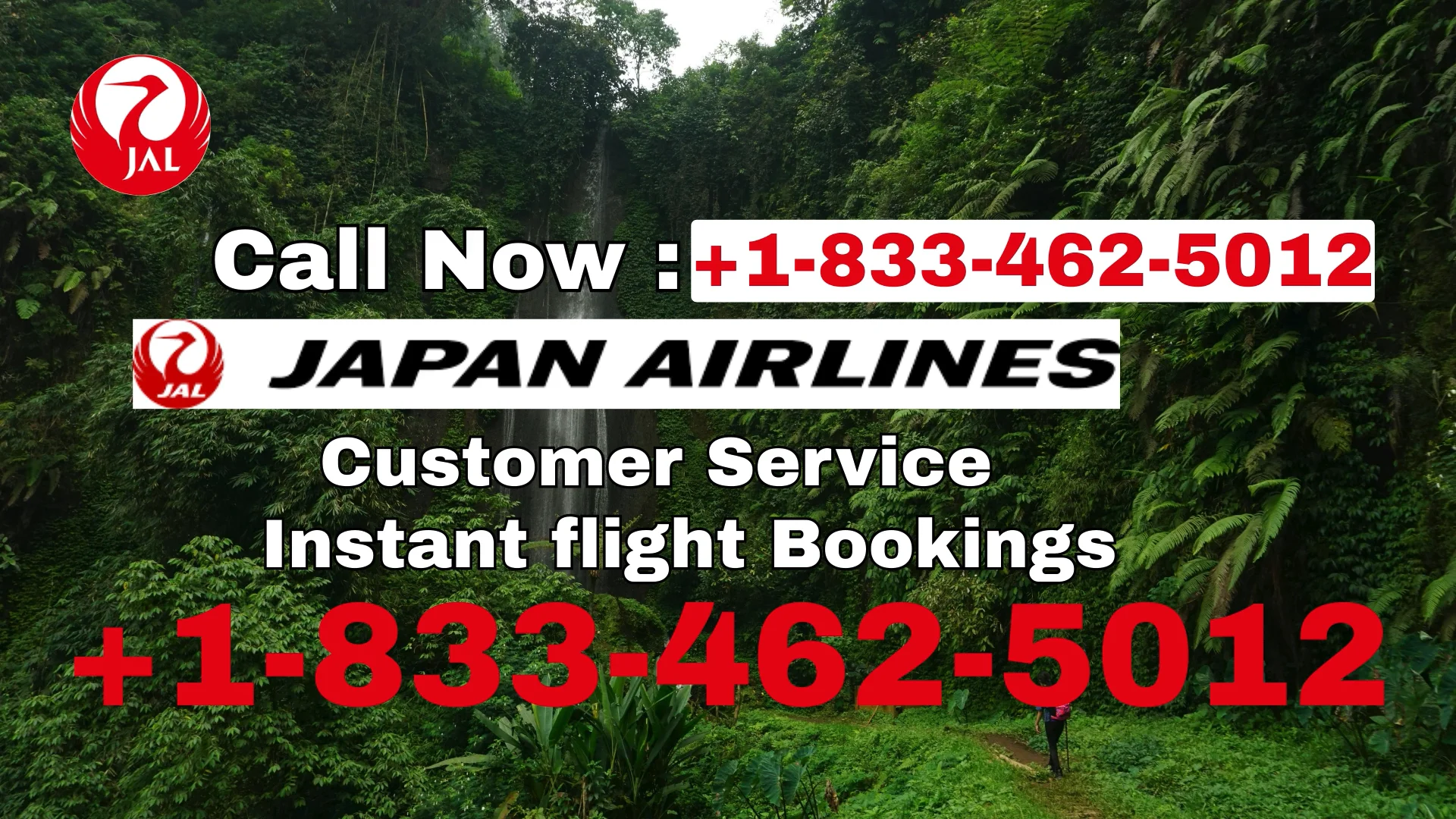 japan Airlines&reg; Customer Service Complete Guide = Step-by-Step Help & Support 24/7 japan Airlines