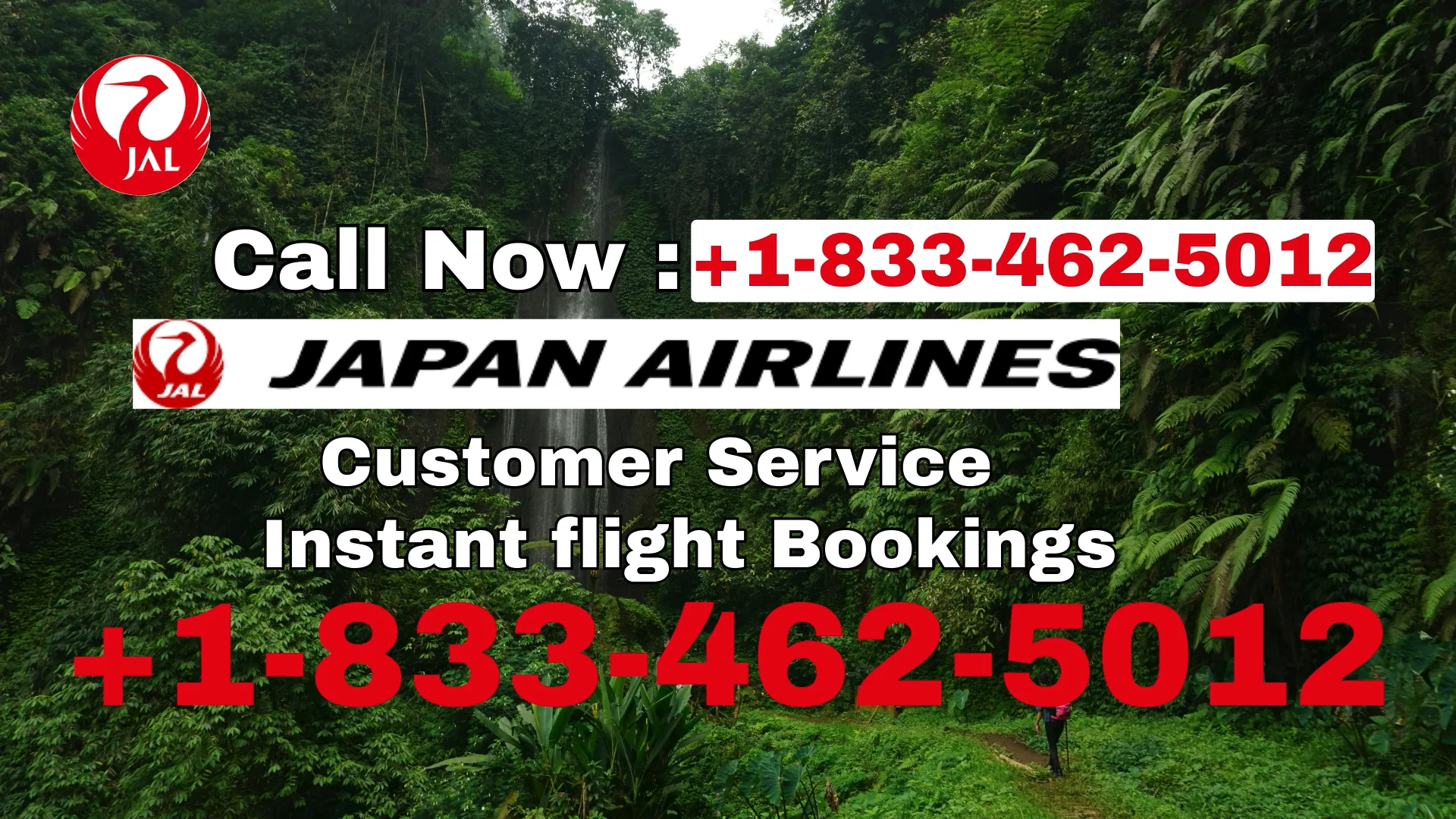 japan Airlines&reg; Customer Service Complete Guide = Step-by-Step Help & Support 24/7 japan Airlines