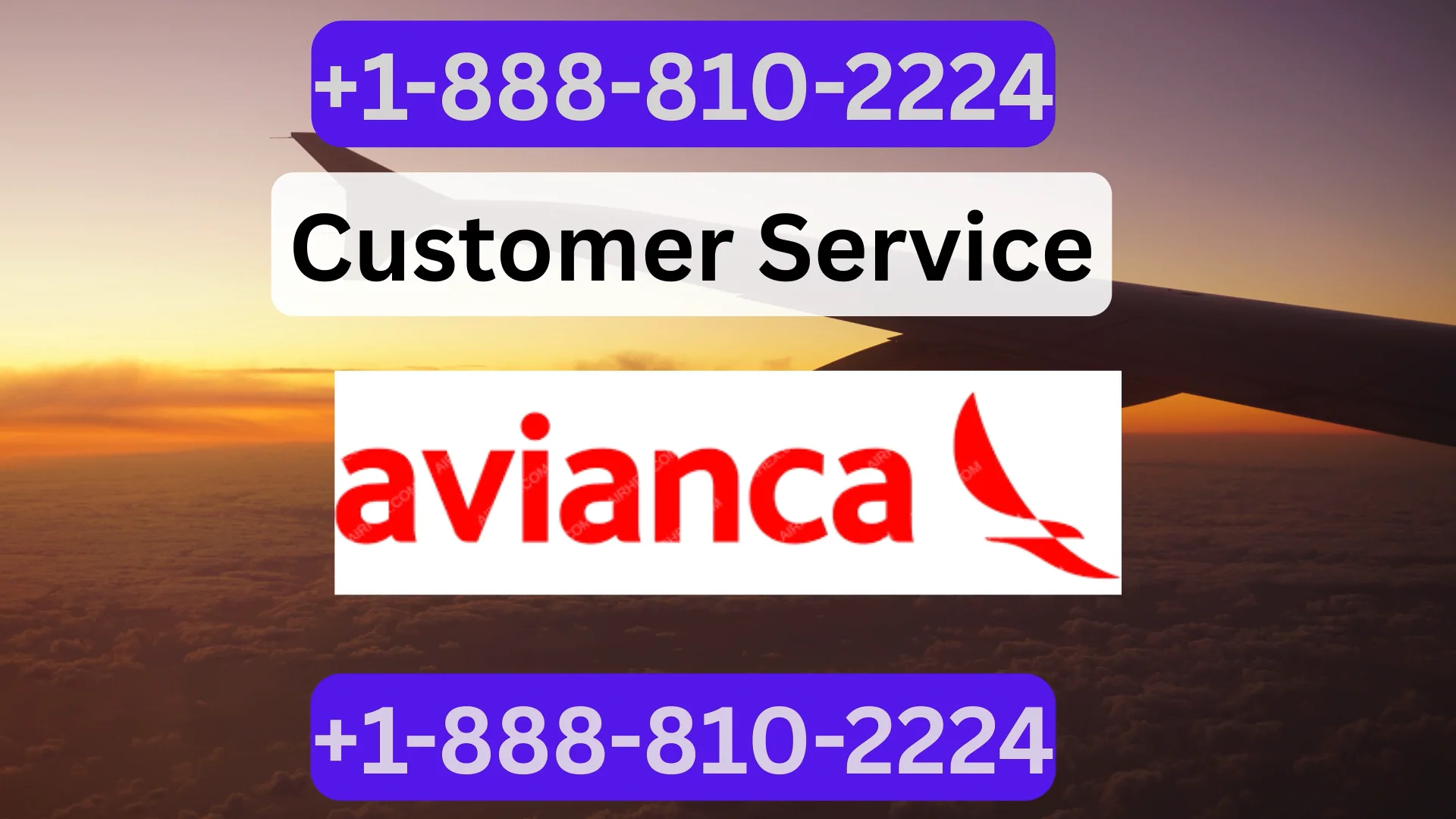 Avianca Airlines&reg; Customer Service Complete Guide = Step-by-Step Help & Support 24/7 Avianca Airlines