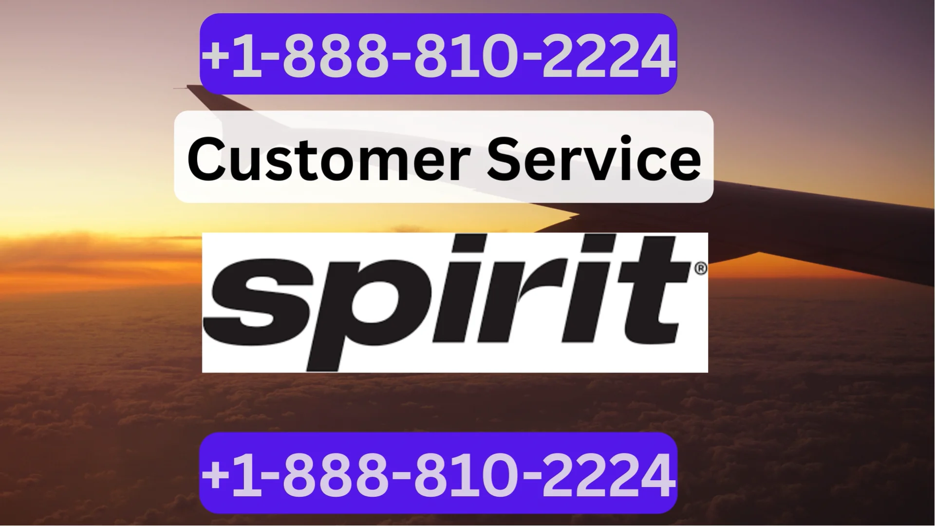 Spirit Airlines &trade; Customer Service Official Guide ➢ Step-by-Step Help & Support Spirit Airlines
