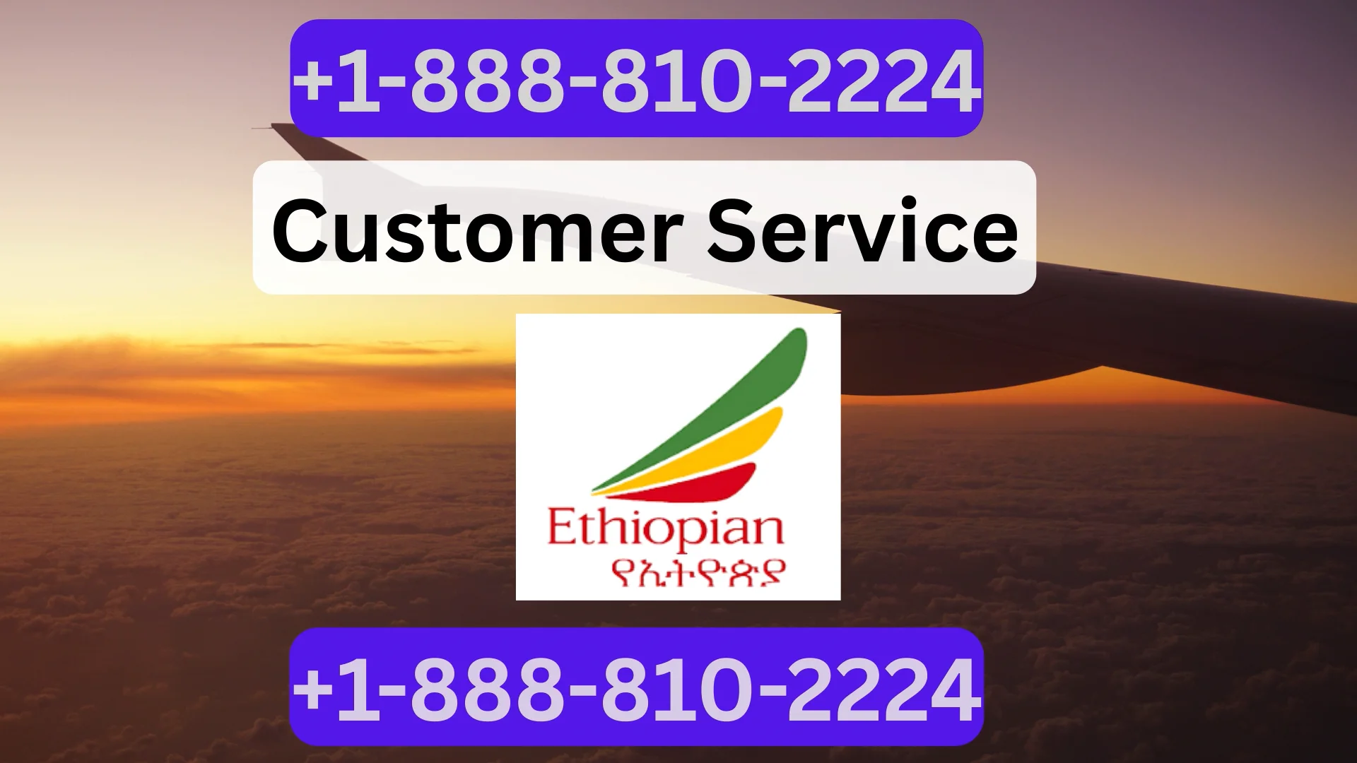 Ethiopian Airlines&reg; Customer Service Updated Path ⇝⇝ Step-by-Step Help & Support 24/7 Ethiopian Airlines