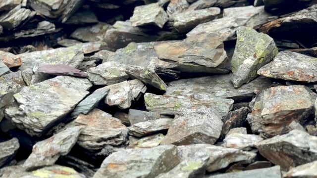 Vimeo Thumbnail (API)