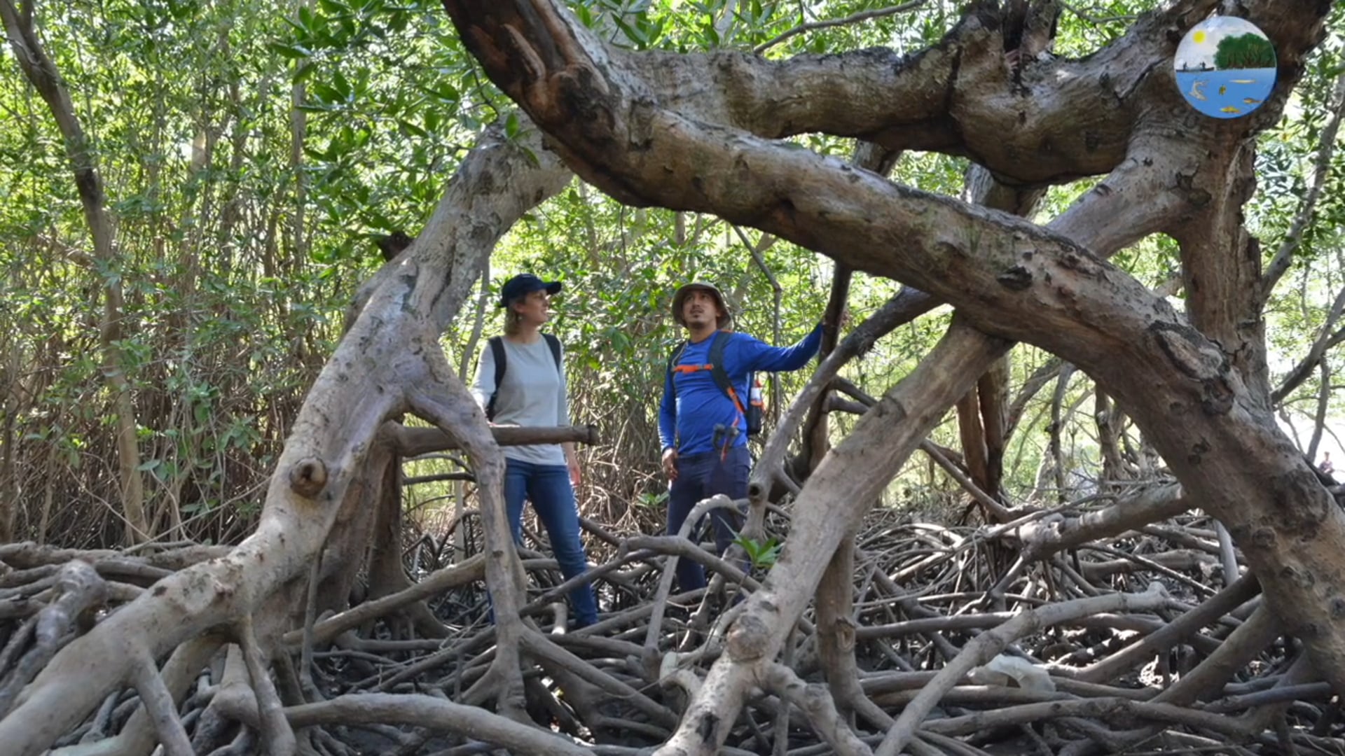 Partnerschaft im Golf von Fonseca