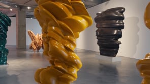 Related Embedded Video Item Thumbnail