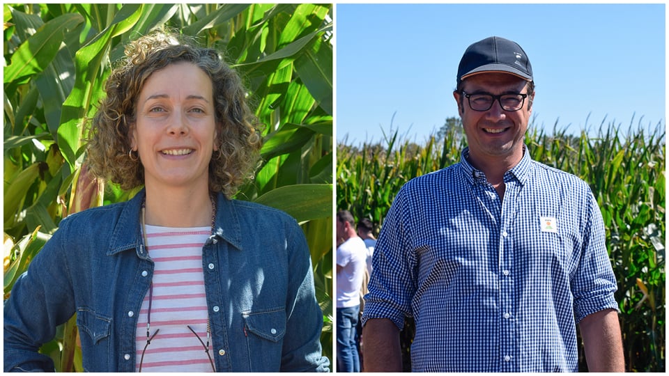 KWS y la cooperativa Xallas: una alianza de campo para presentar el mejor maíz silo