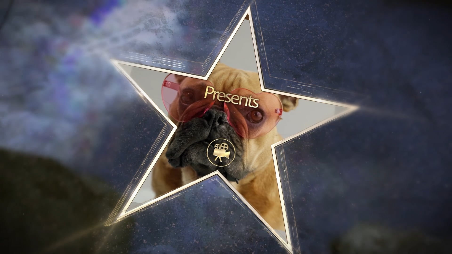 2026 Howllywood Dog Show