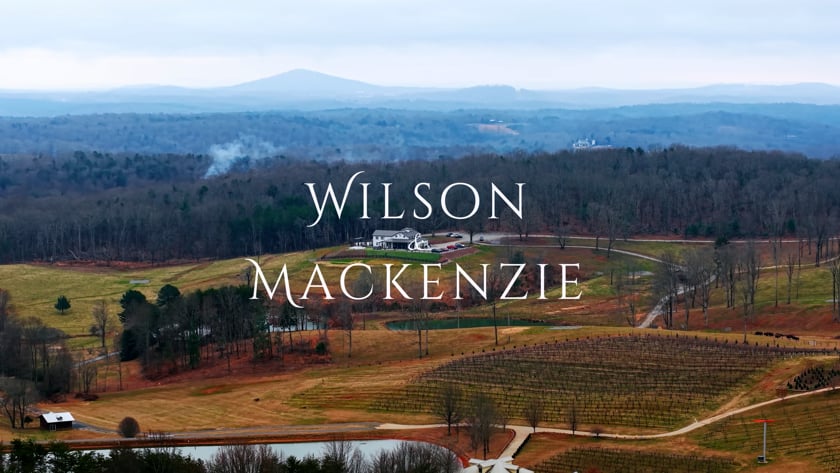 vimeo-video-thumbnail