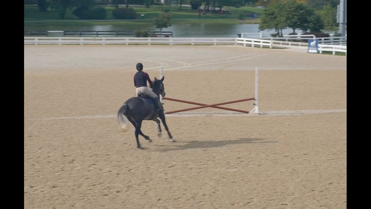 Ronny Riemer: Variations of Riding the Triangle