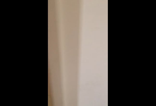 First floor studio in West Norwood*Couple Allowed* Main Photo