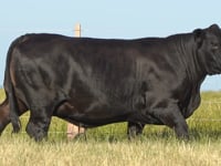 Lote Aspiração<br>DA ROCHA TE 2865