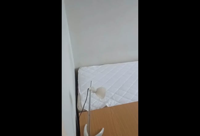 Room near Clapham Junction for female professional Main Photo