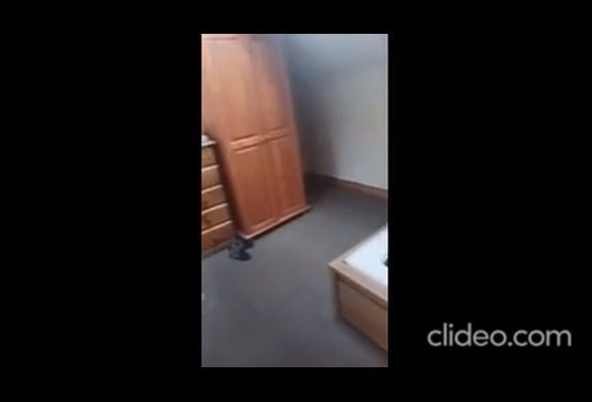 Room available in a 4 bedroom house Main Photo