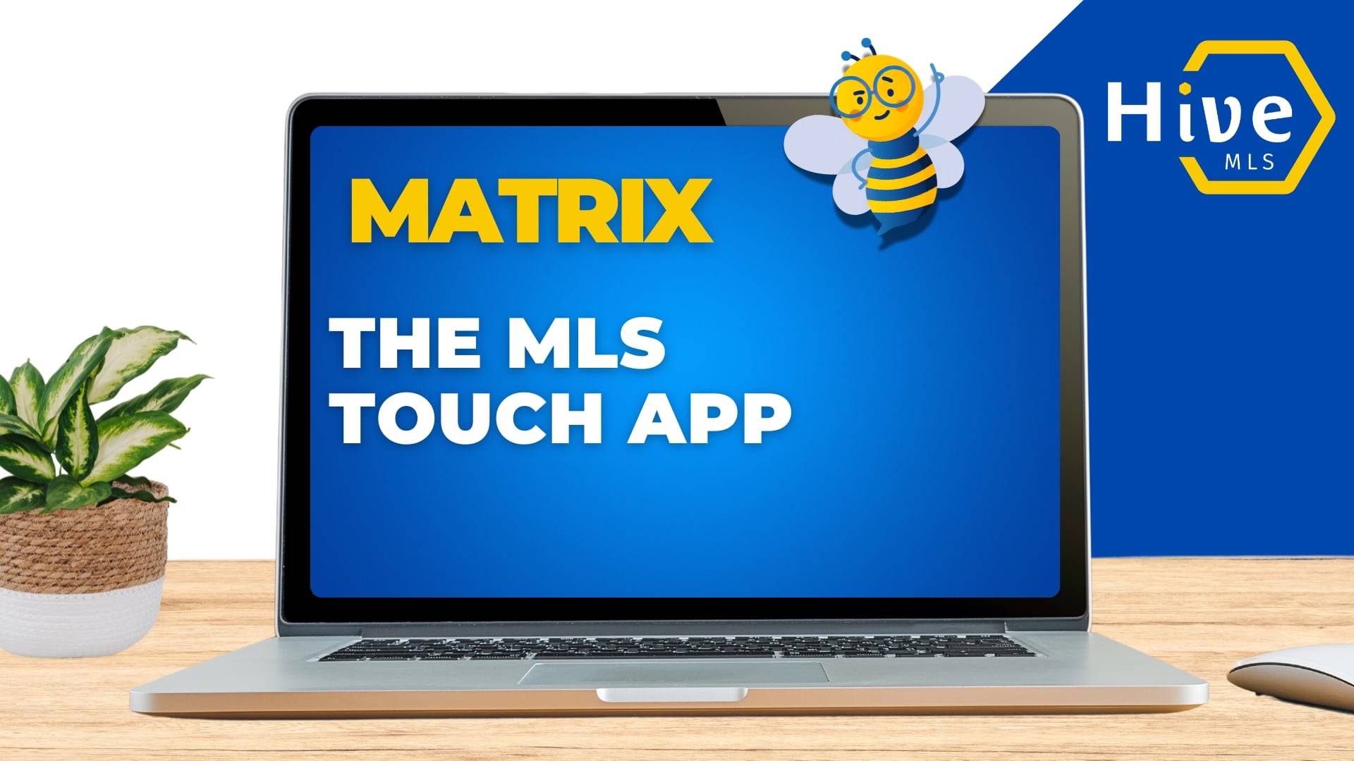 The MLS Touch app