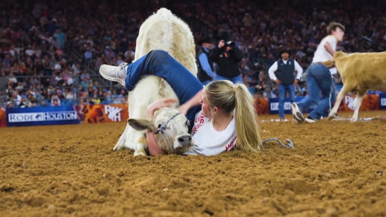 Blonde volunteer tackling a calf during the Calf Scramble Greeters Committee film