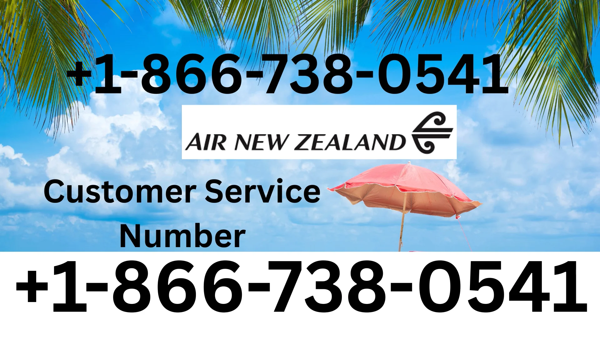 Air New Zealand&reg; Customer Service Complete Guide = Step-by-Step Help & Support 24/7 Air New Zealand