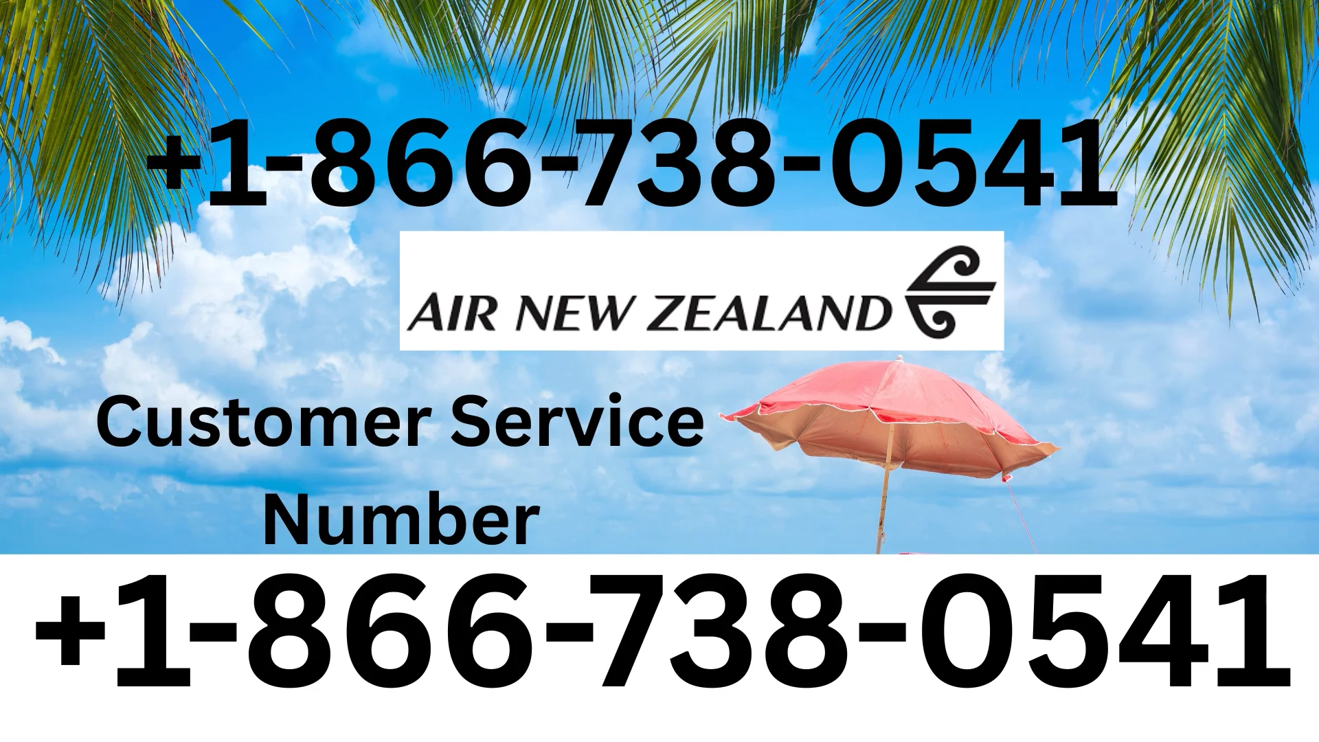 Many Ways to Access Air New Zealand&reg;&trade; Customer Service Step by Step Comprehensive Guide
