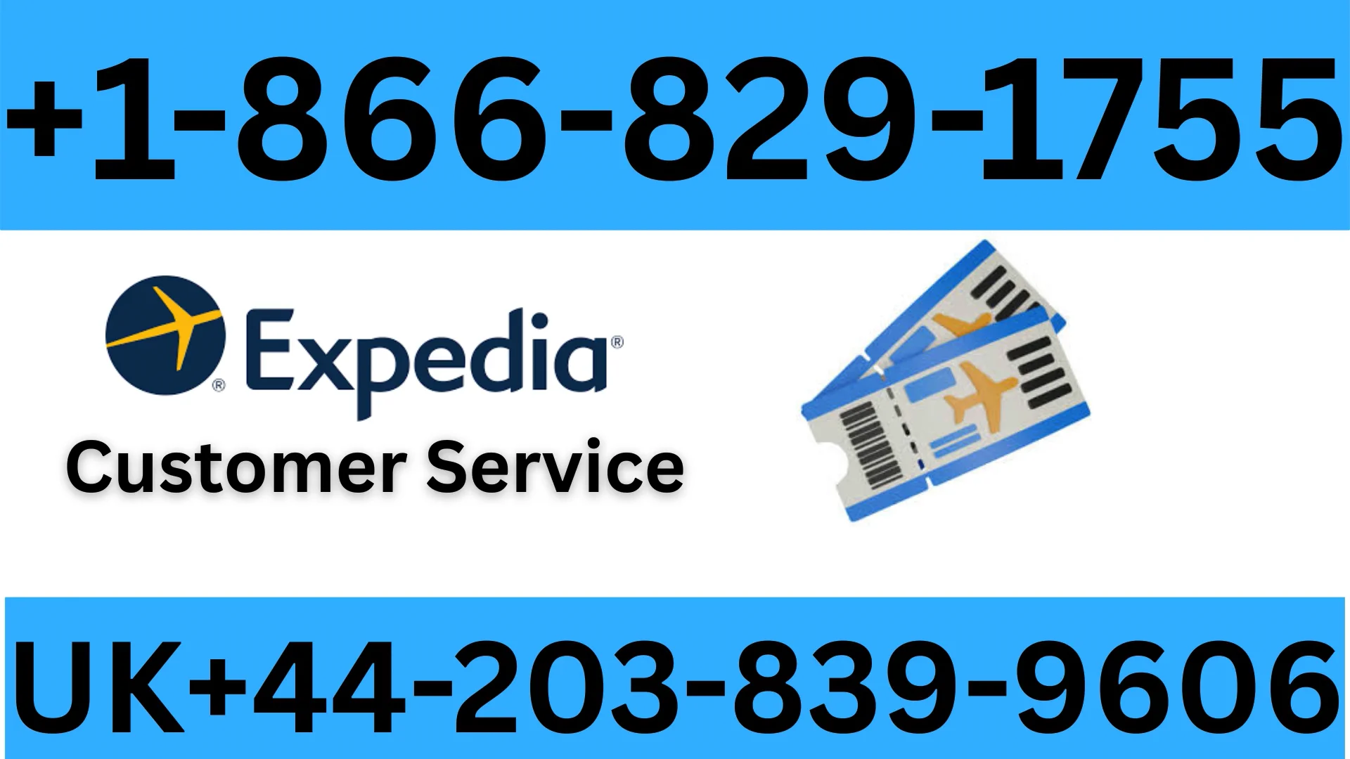 Updated Expedia&reg; Customer Service | Detailed Guide to 24/7 Chat, Call & Email Support