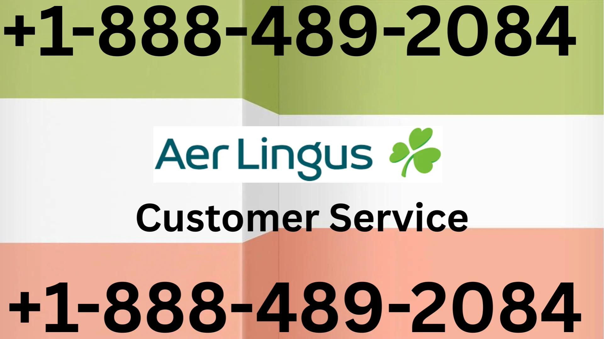 Full Guide to Aer Lingus Customer Service Support = Get Live Expert Support Anytime