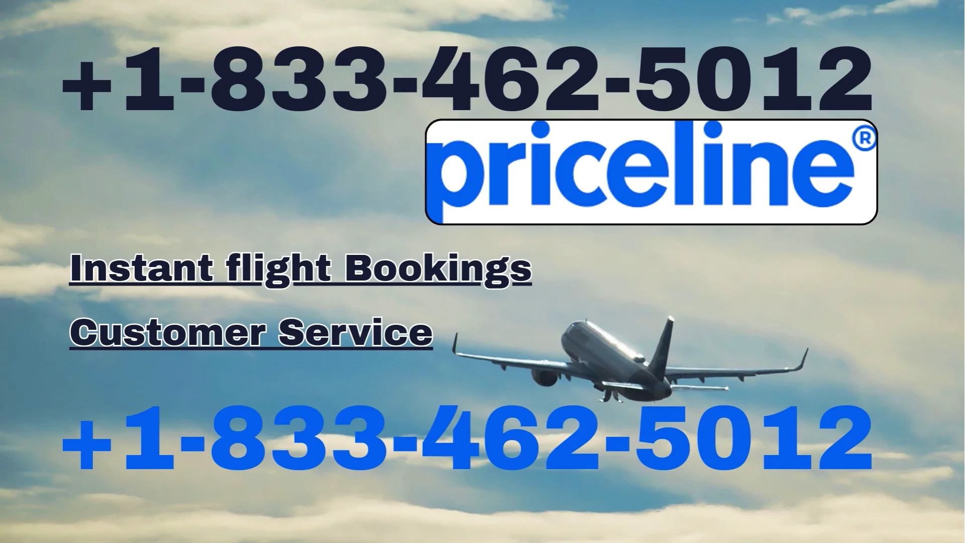 Priceline&reg; Customer Service Complete Guide = Step-by-Step Help & Support 24/7 Priceline