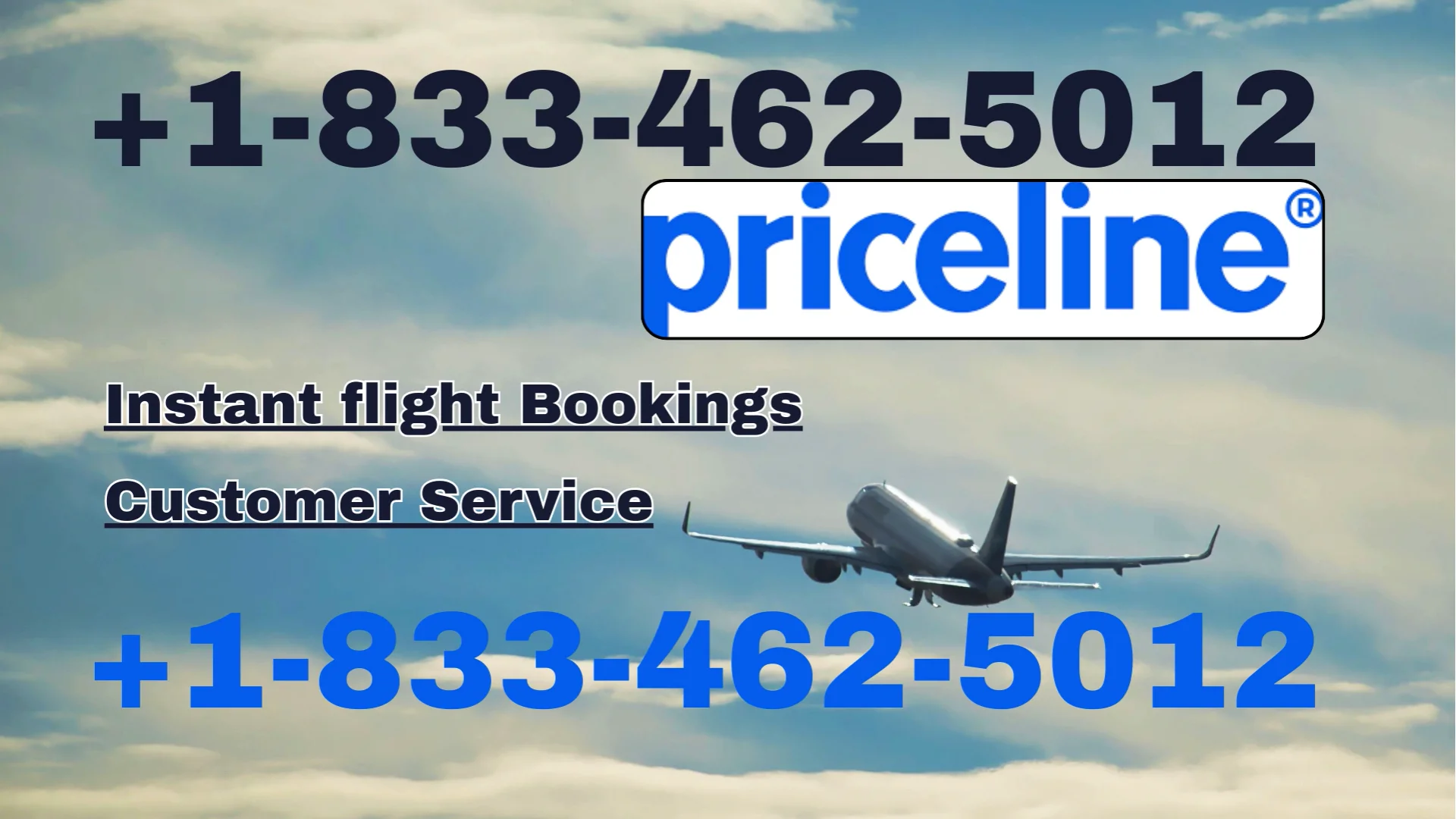 Priceline&reg; Customer Service Complete Guide = Step-by-Step Help & Support 24/7 Priceline